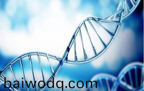 百傲2019再穫三證，進入DNA免提時代