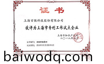 上海市專利工作試點企業